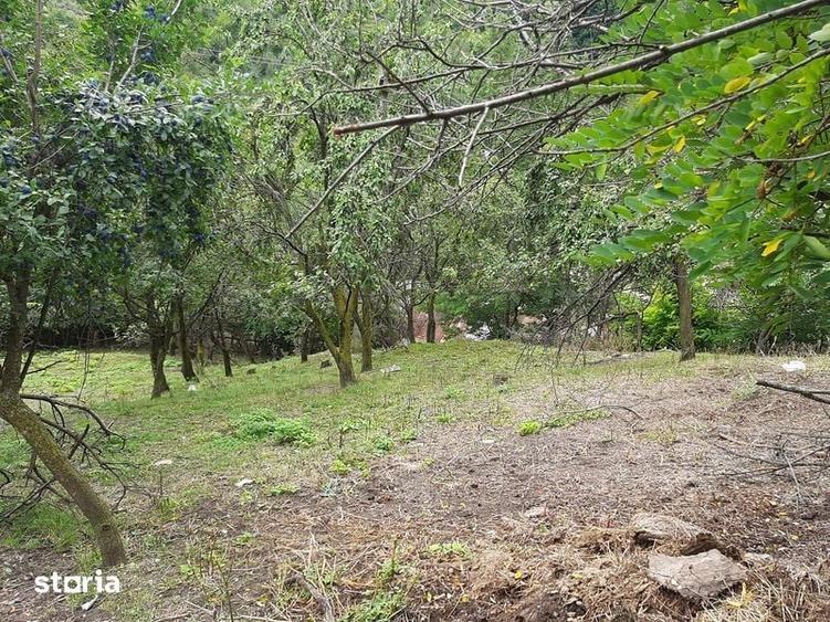Teren de 1262 mp, în Chiojdu