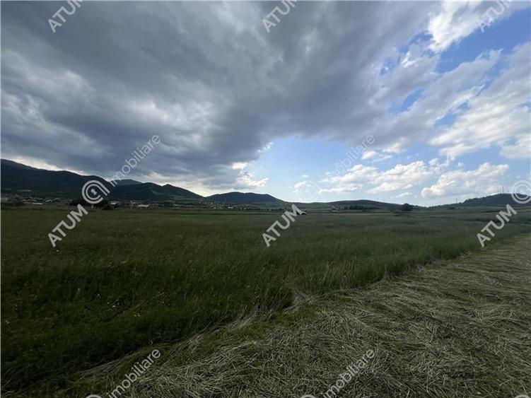 Teren agricol intravilan de 3477 mp, în Boița