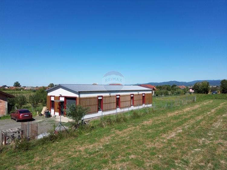 Spațiu industrial, de 150 mp, în Lăpușel