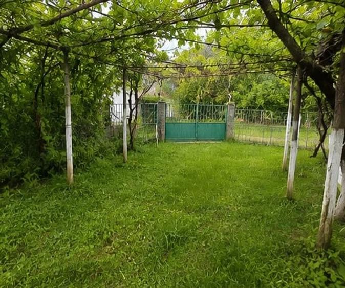 Casă cu 2 camere cu Teren 3426 Mp în Cornățel