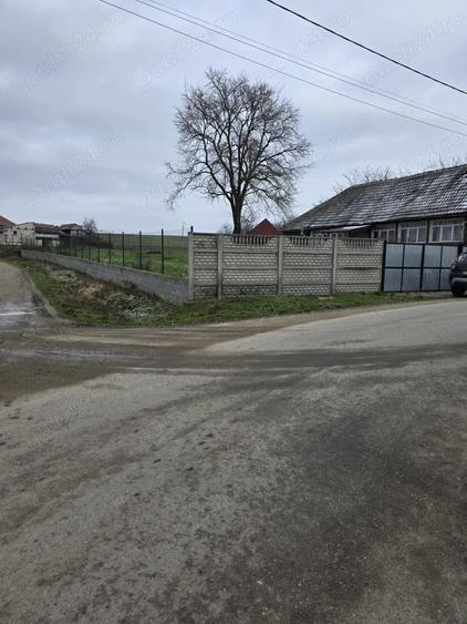 Casă cu 2 camere cu Teren 110 Mp în Pachia