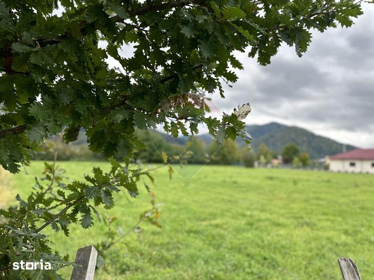 Teren de 1023 mp, în Alexandru cel Bun