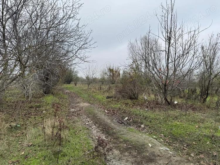 Teren de 1862 mp, în Central