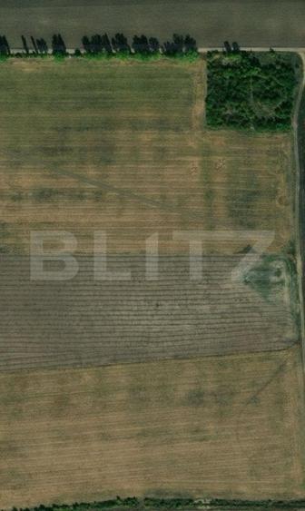 Teren agricol extravilan de 12218 mp, în Cârcea