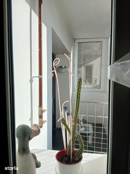 Apartament 3 camere de vanzare Gorjului - 13