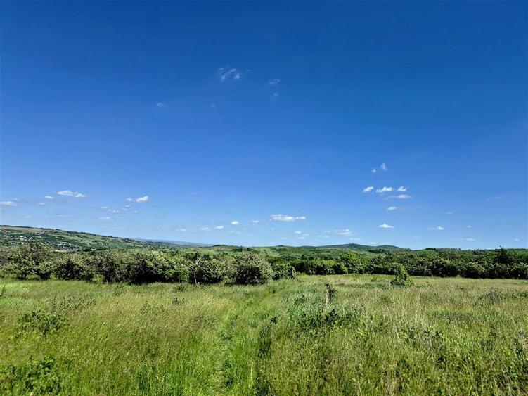 Teren Construcții intravilan de 800 mp, în Tomești
