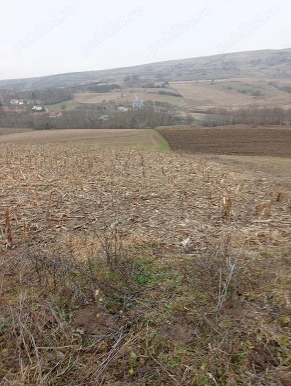 Teren de 3000 mp, în Ruși