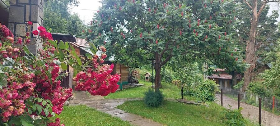 Casă cu 2 camere cu Teren 1745 Mp în Poiana