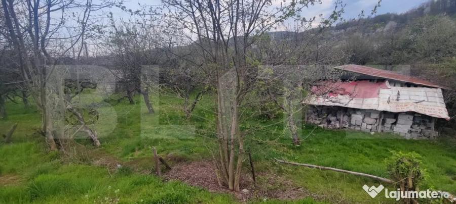 Teren în Voinești