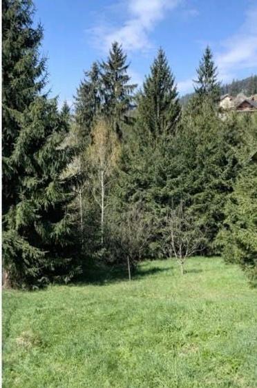 Teren de 26000 mp, în Dealu Negru