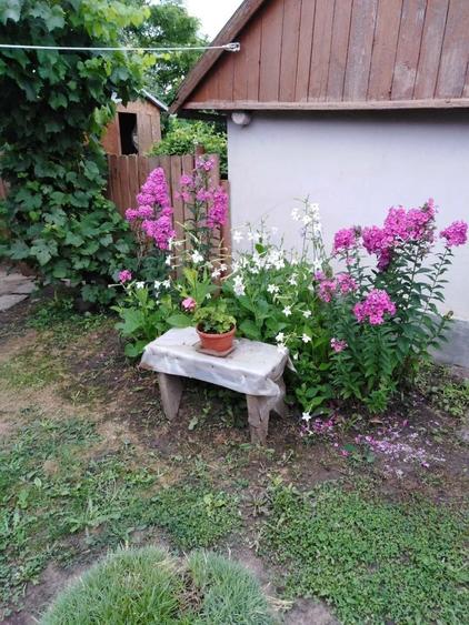 Casă cu 3 camere în Trifești
