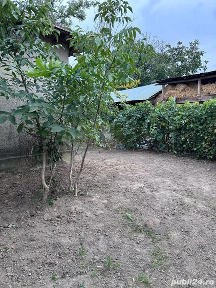 Casa Ciochina, Ialomi?a, 4 camere, 1610 mp teren - 5