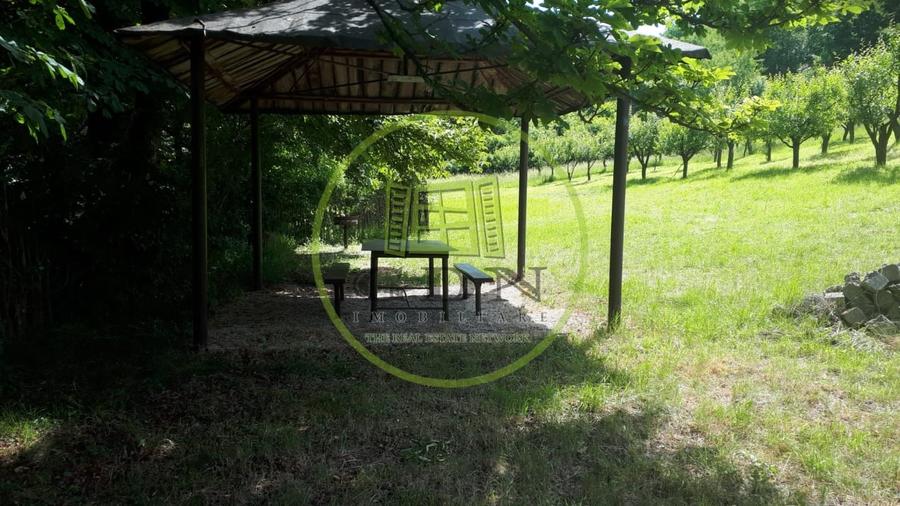 Teren agricol extravilan de 4288 mp, în Gușterița