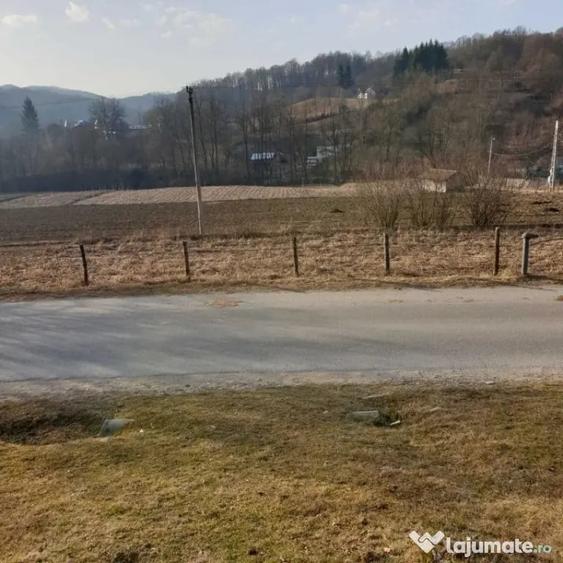 Teren de 7000 mp, în Ștubeie Tisa