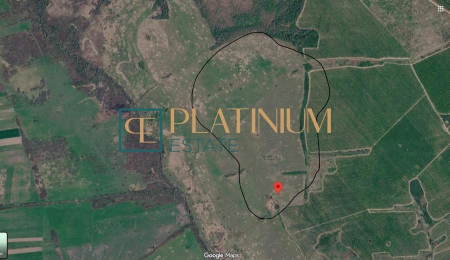 Teren agricol extravilan de 64700 mp, în Ghizela