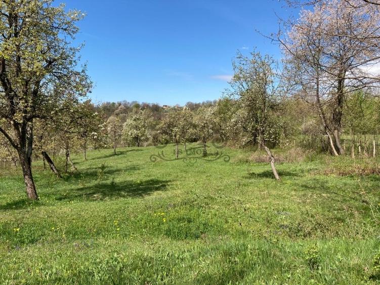 Teren Construcții intravilan de 4905 mp, în Albeștii de Muscel