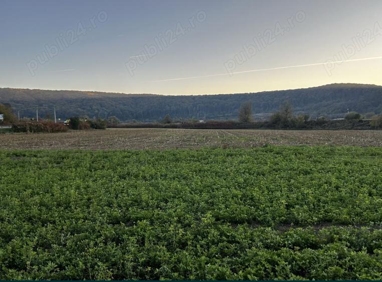 Teren de 5800 mp, în Central