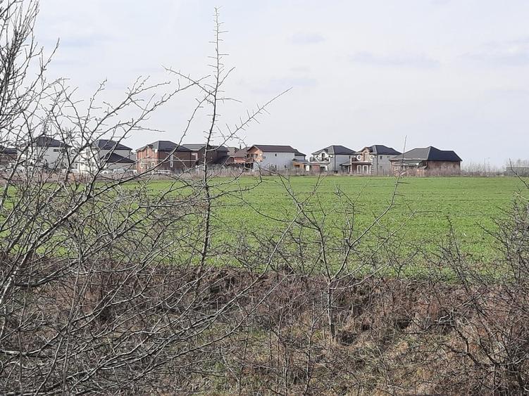 Teren Construcții intravilan de 42600 mp, în Corbeanca