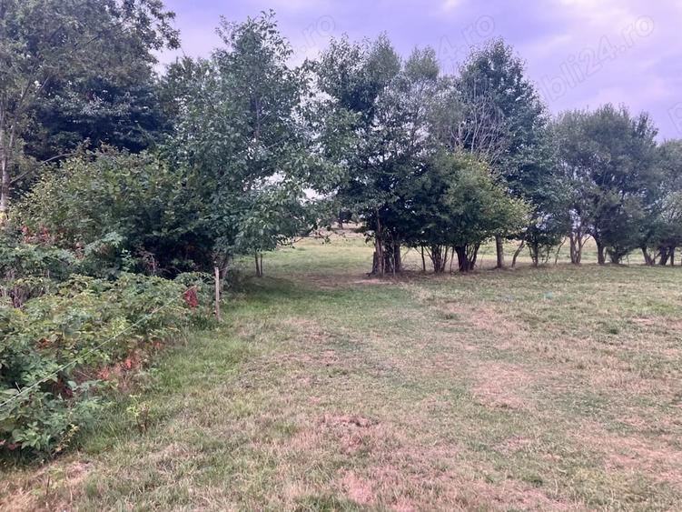 Teren de 3880 mp, în Cheia