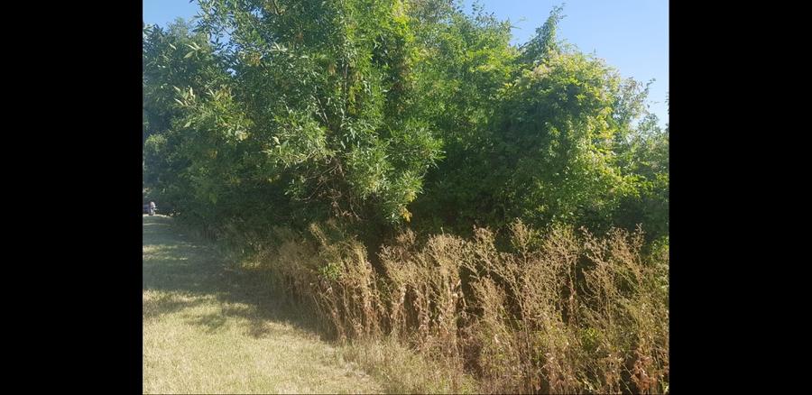 Teren Construcții intravilan de 4998 mp, în Gorgota