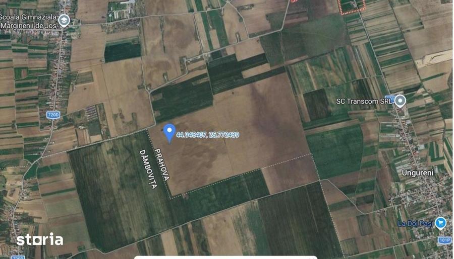 Teren de 5000 mp, în Filipeștii de Târg