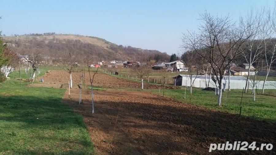 Teren de 2200 mp, în Central