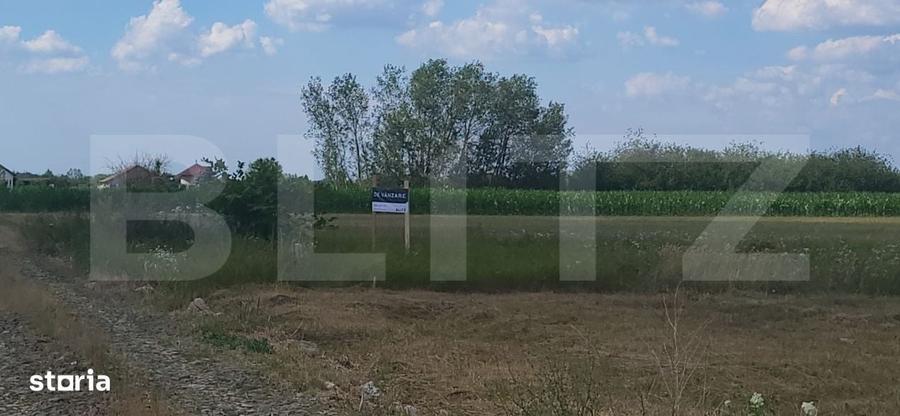 Spațiu comercial, în Cionchești