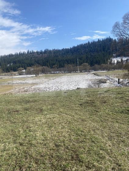 Teren Construcții intravilan de 12500 mp, în Coșna