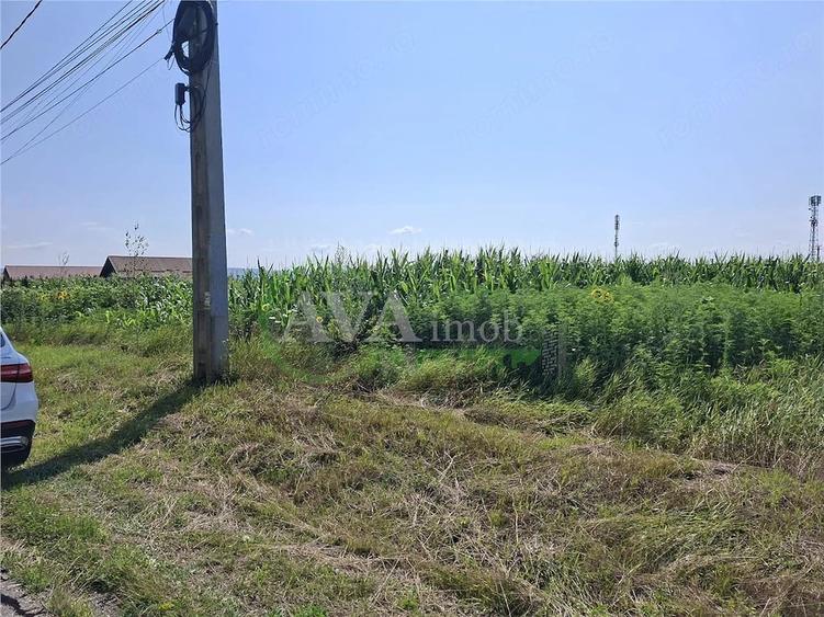 Teren de 1600 mp, în Central