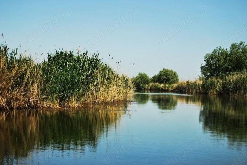 Teren de 50000 mp, în Comișani