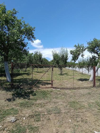 Teren de 1207 mp, în Burluși