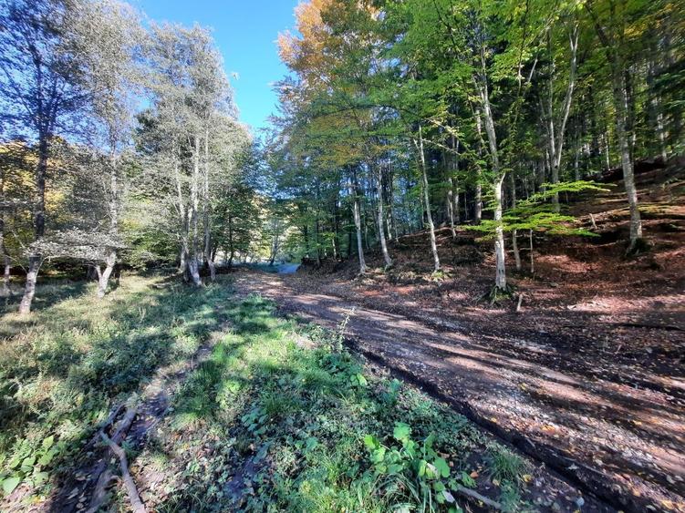 Teren agricol extravilan de 7160 mp, în Alexandru cel Bun