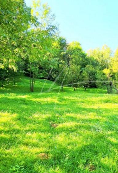 Teren de 1471 mp, în Vărbila