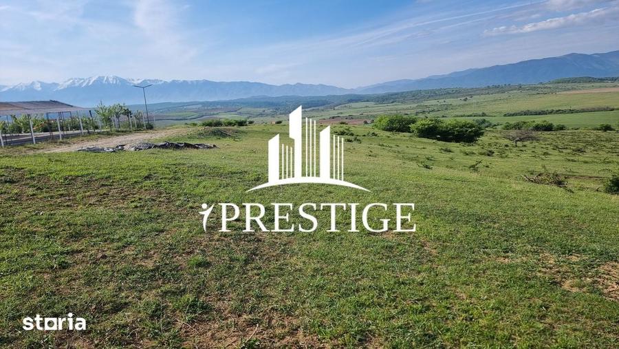 Teren de 2000 mp, în Trei Stejari