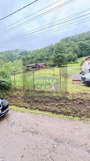 Teren Construcții intravilan de 6200 mp, în Tăuții-Măgherăuș
