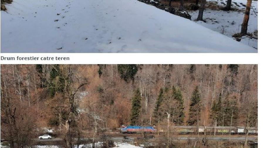Teren Construcții intravilan de 4500 mp, în Timișu de Jos