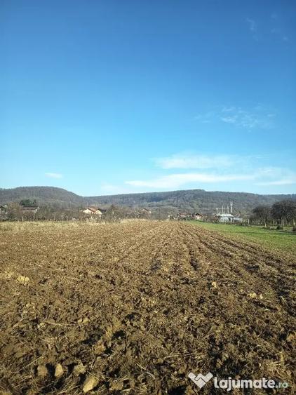 Teren intravilan de vanzare - 5
