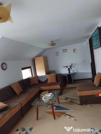Vila 7 camere, 200 mp, zona Maneciu Pamanteni - 10