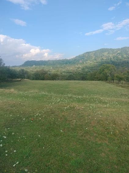 Spațiu comercial, în Domnești