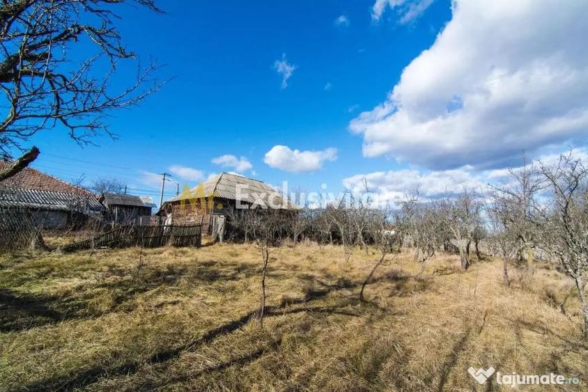 Casă cu 3 camere cu Teren 4145 Mp în Vedea