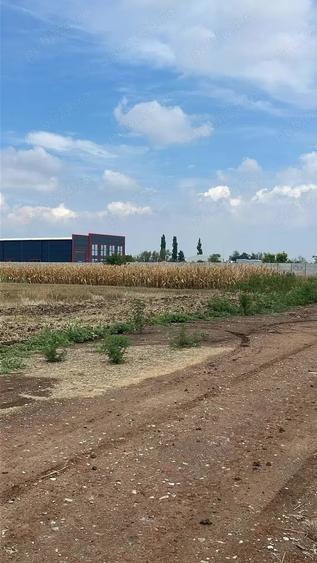 Teren de 5000 mp, în Vârteju