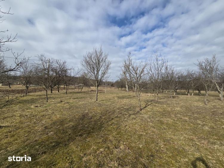 Teren de 3800 mp, în Mirșid