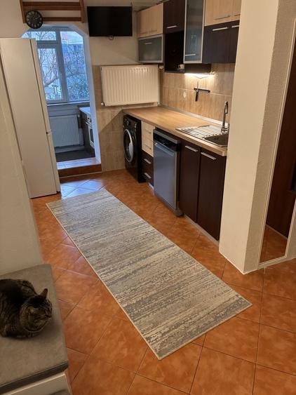 Apartament cu 3 camere decomandat în Copou