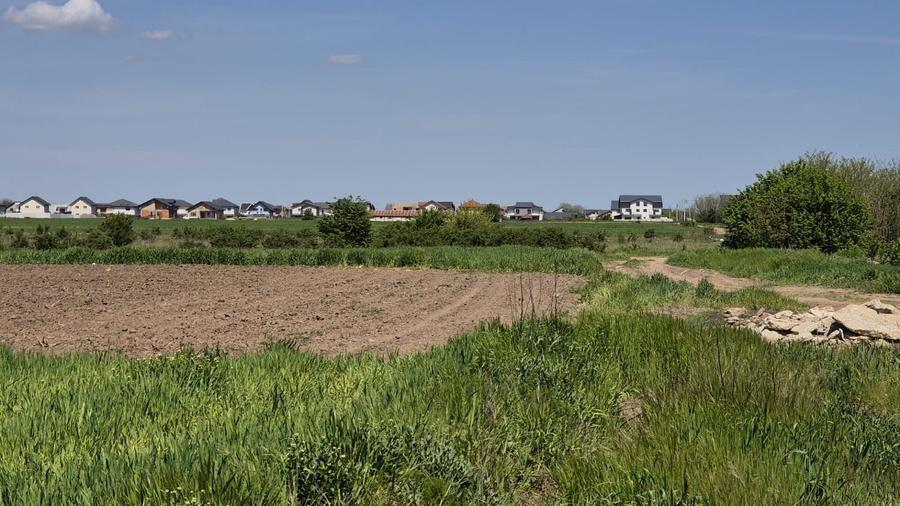 Teren agricol extravilan de 9983 mp, în Berceni