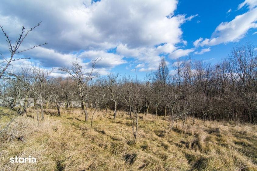 Casă cu 3 camere cu Teren 4145 Mp în Vedea