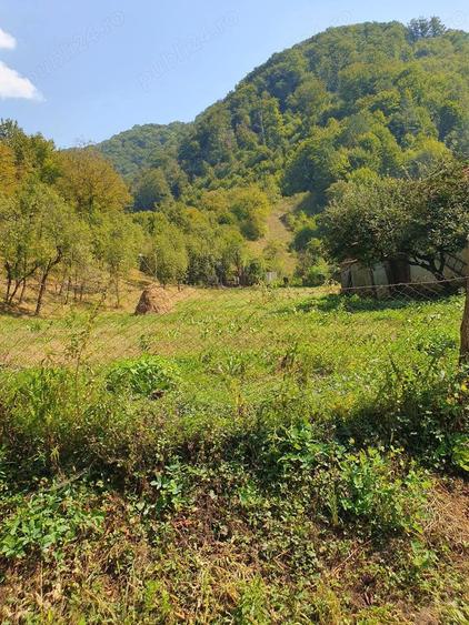 Casă cu 3 camere în Lugoj