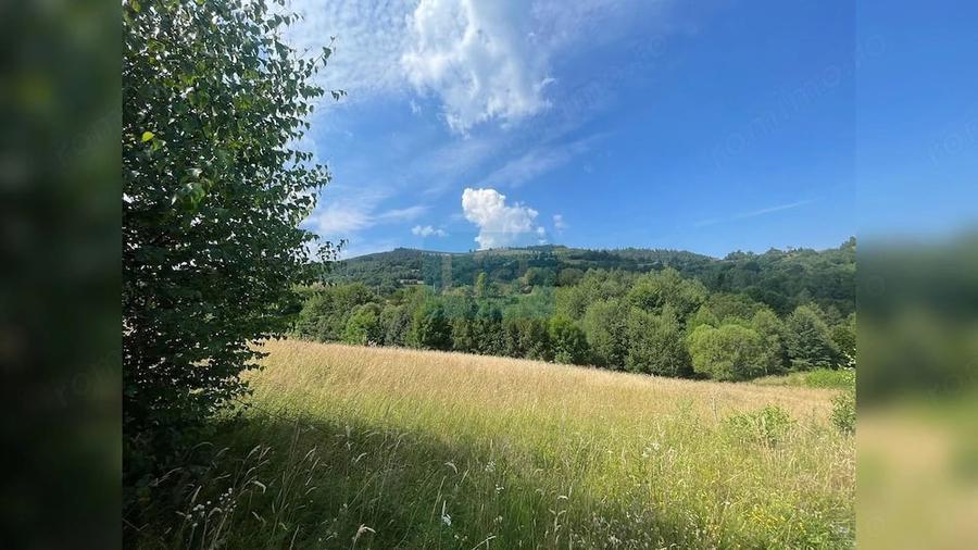 Teren de 20000 mp, în Săcuieu