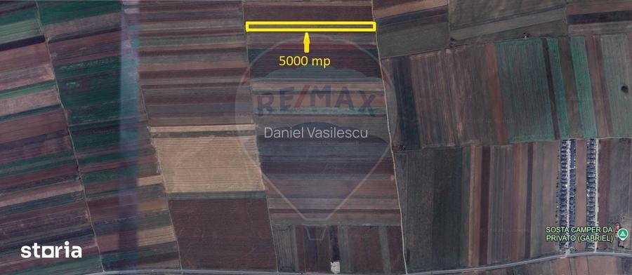 Teren Extravilan 5.000 mp Tarlungeni / Strada Zizinului
