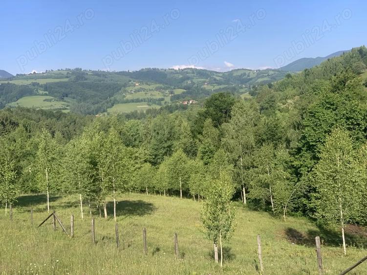 Teren de 4069 mp, în Poiana Mărului