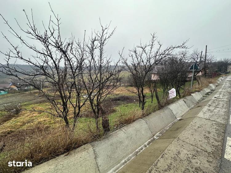 Teren de 2600 mp, în Popricani